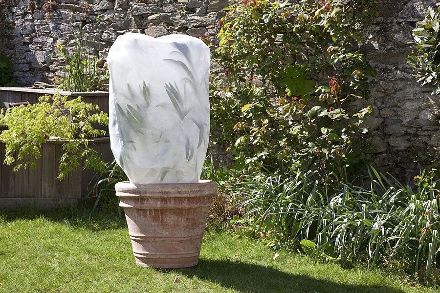 HOUSSE HIVERNAGE 50G/M2