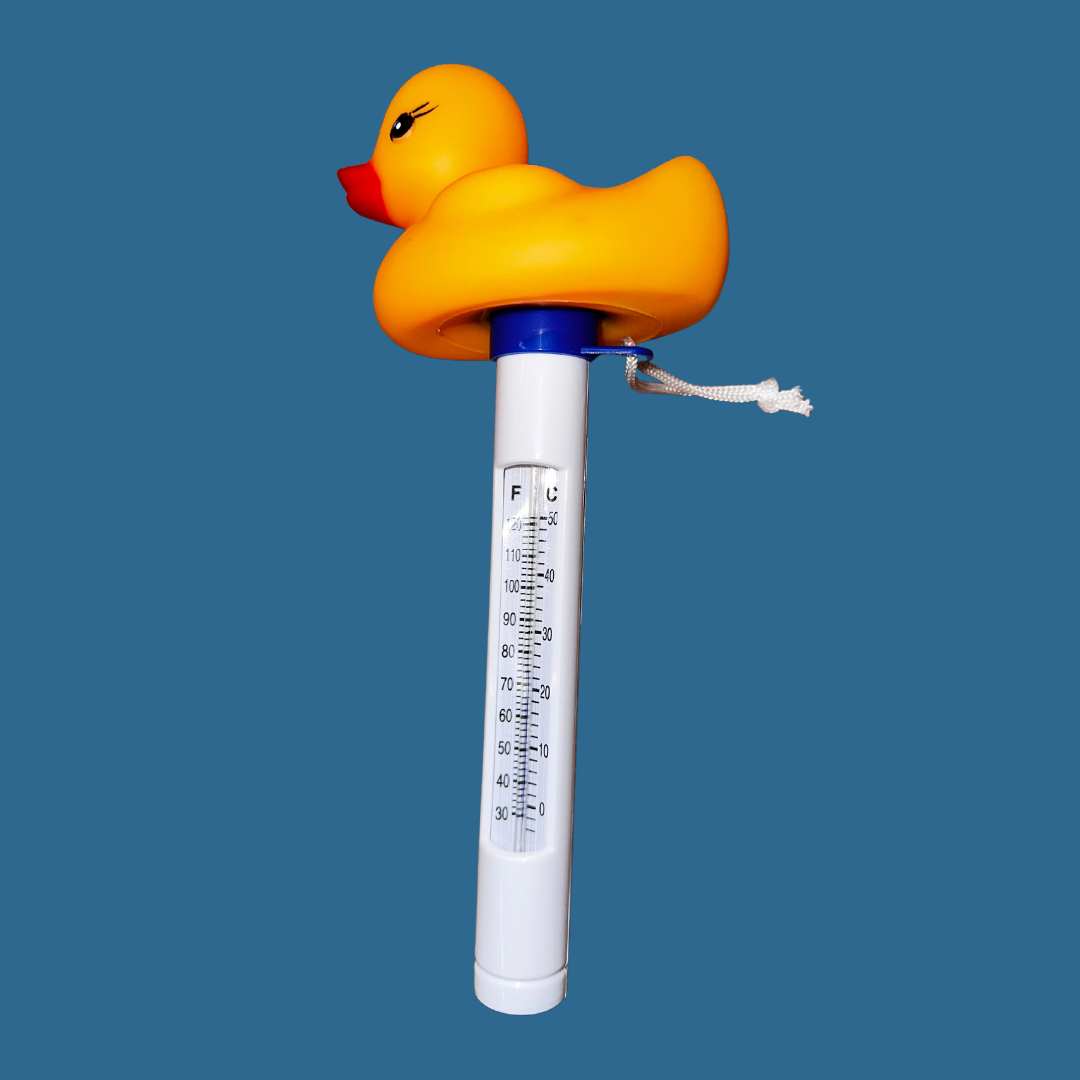 THERMOMETRE FIGUR TORTUE