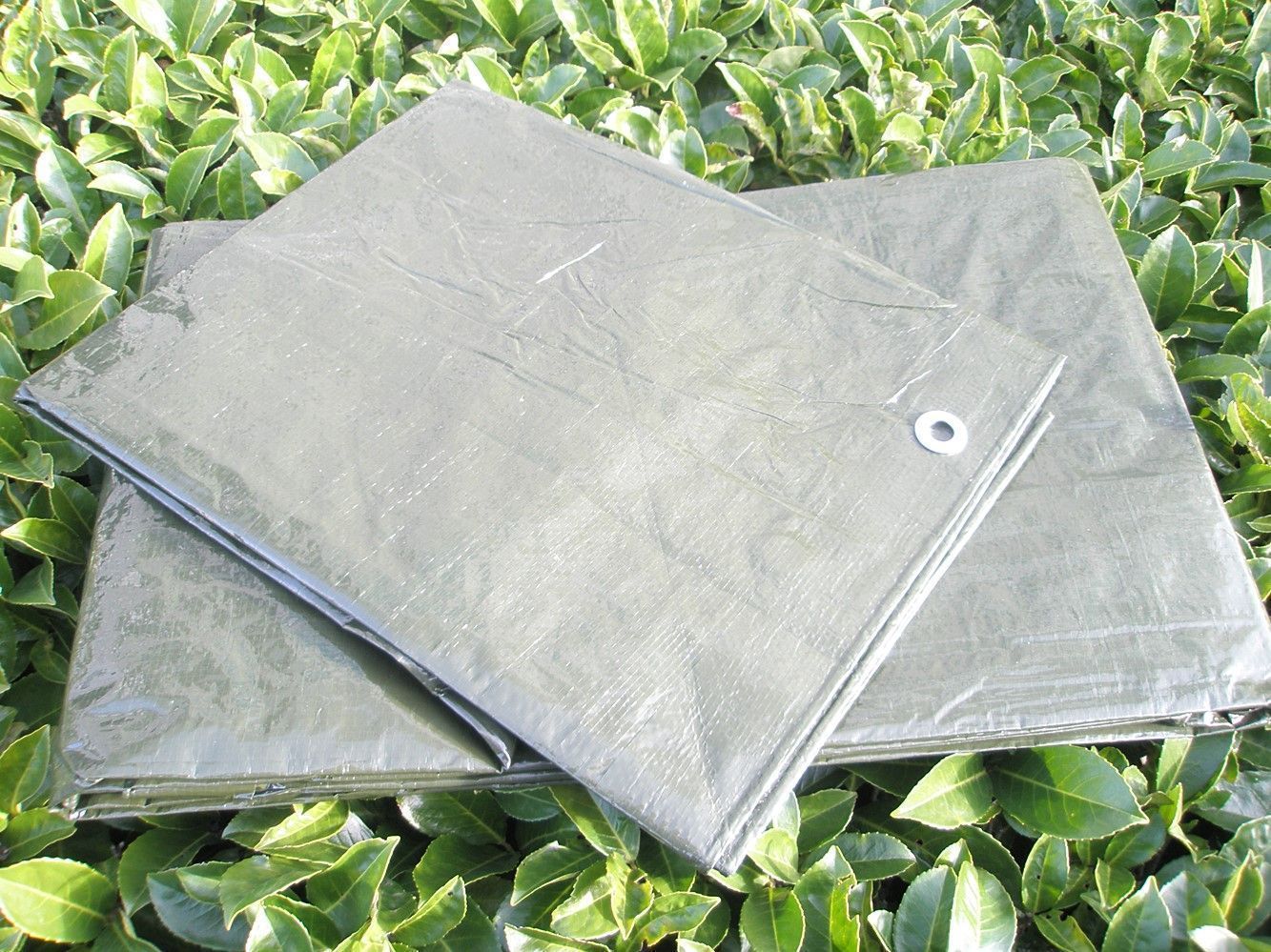 Bâche Middle verte 3X4M
