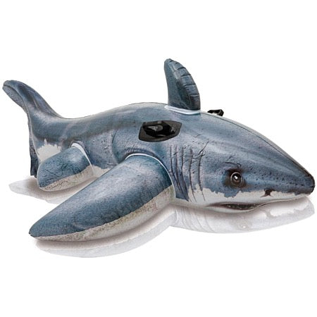Grand requin à chevaucher blanc