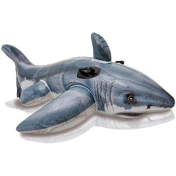 Grand requin à chevaucher blanc