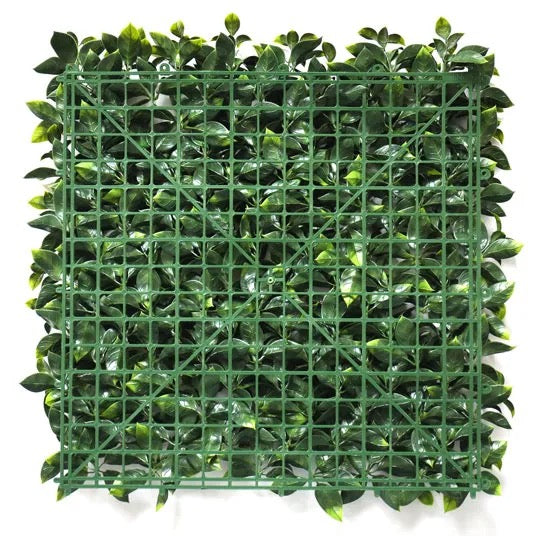 Feuillage Gardenia M2