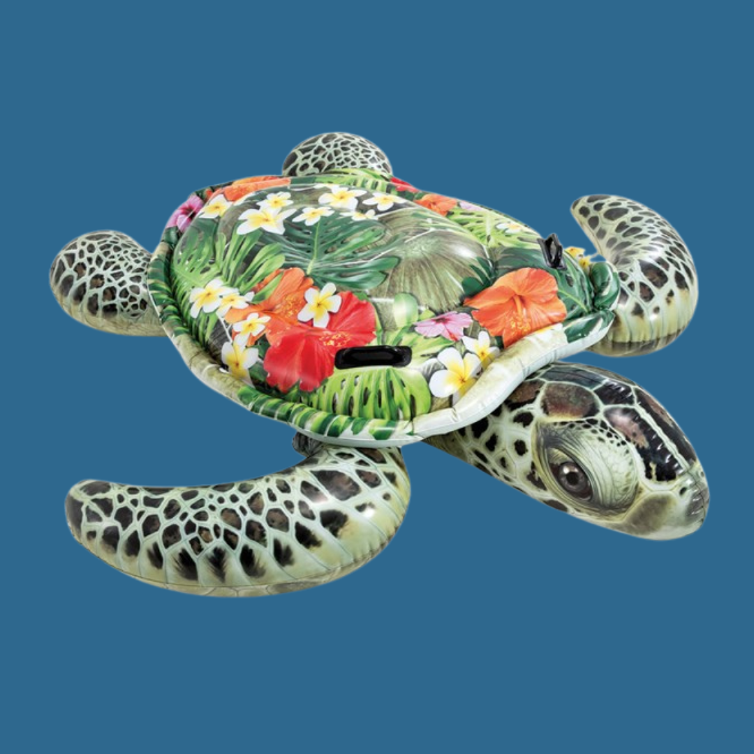 Tortue Aloha à chevaucher