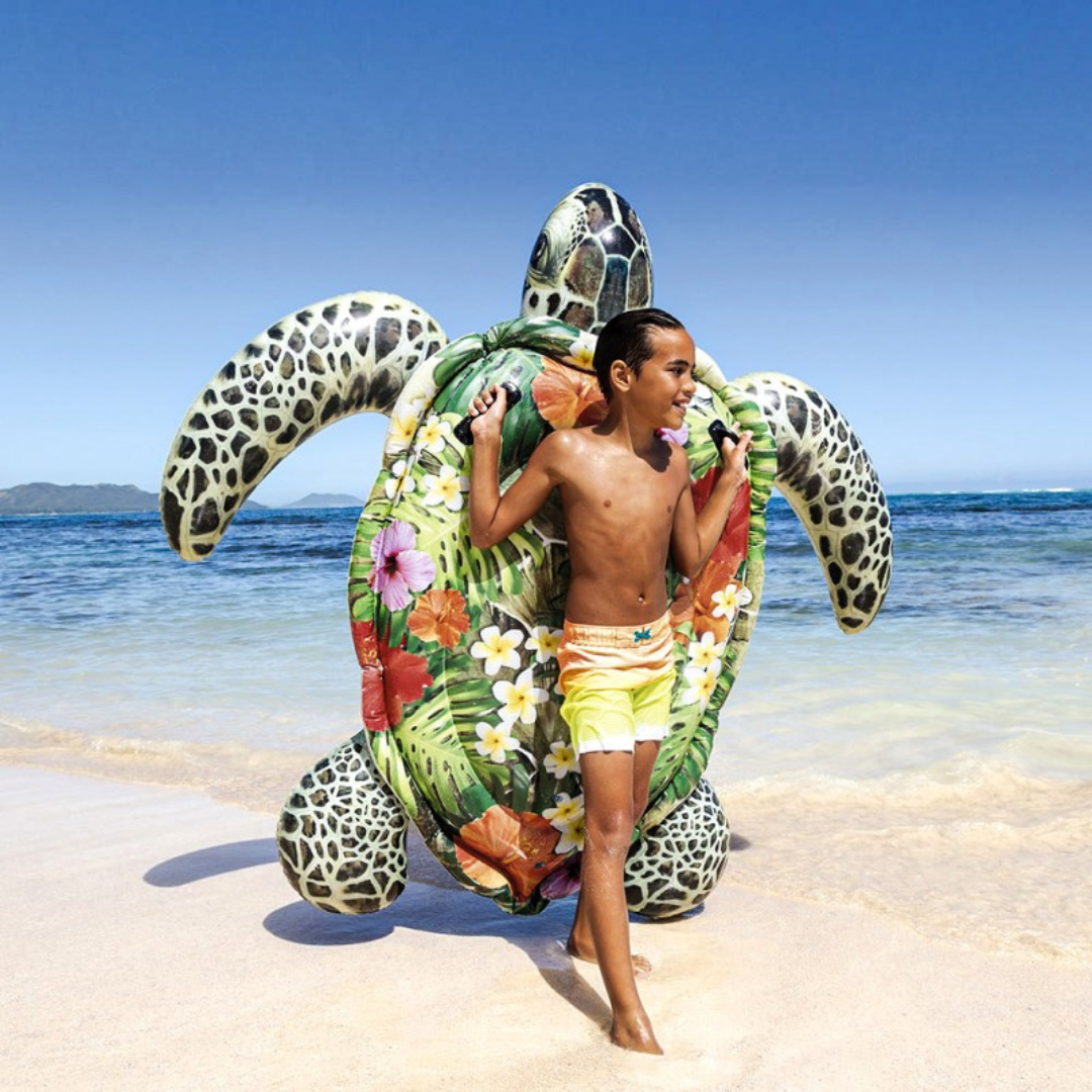 Tortue Aloha à chevaucher